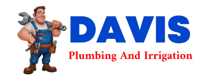 Trusted plumber in ANTON CHICO